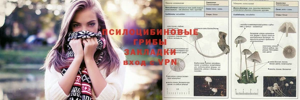 скорость Алексин