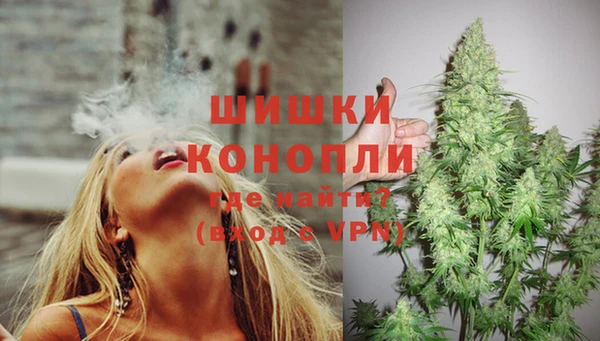ГАЛЛЮЦИНОГЕННЫЕ ГРИБЫ Гусь-Хрустальный