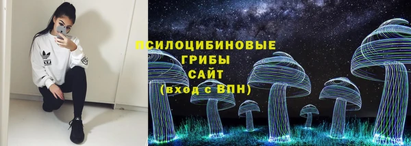 дмт Алзамай